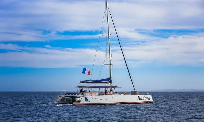 AMC CAPE GRACE HYERES — photo 2