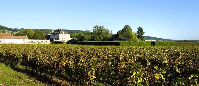 Castel de Très Girard — photo 1