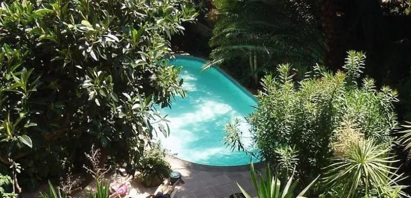Le Windsor Jungle Art Hotel — photo 5
