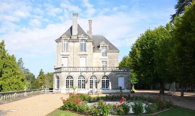 CHÂTEAU DE LA ROCHE RACAN — photo 1