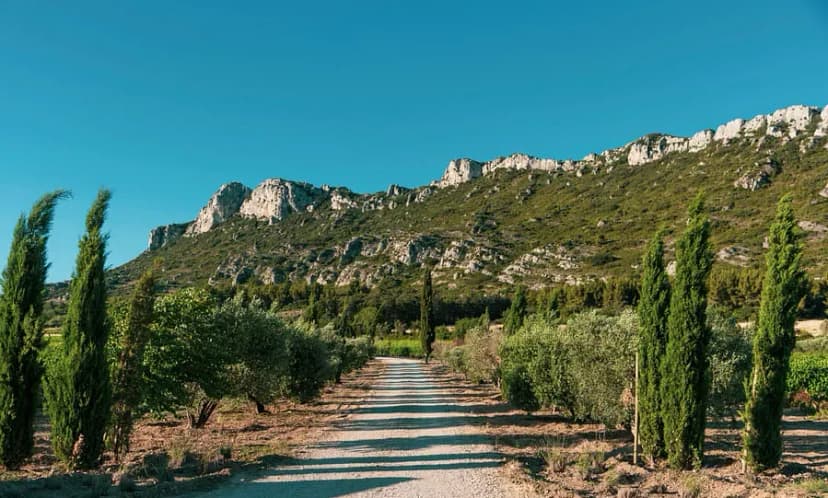 Domaine du Vallon des Glauges — photo 3