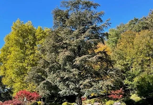 Château de Saint-Thamar — photo 4