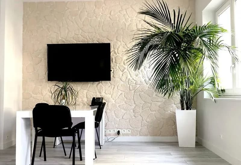 Celaneo - Agence Digitale à Paris — photo 2