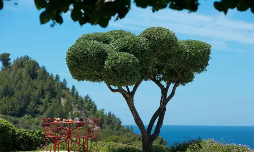 La ferme d'Anais Cassis — photo 3