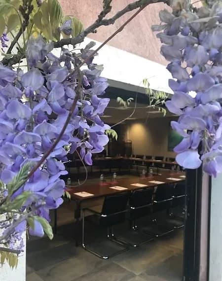 Hôtel Les Jardins de Cassis 3 étoiles — photo 4