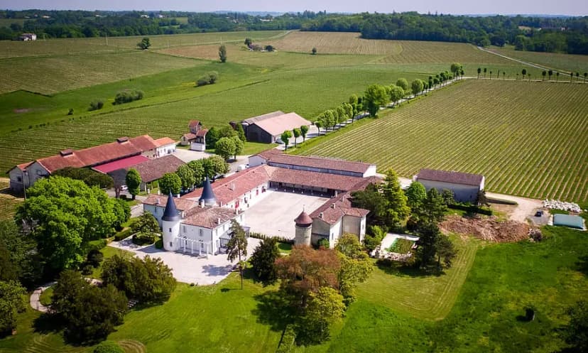 Château de Seguin — photo 1
