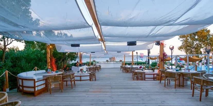 Moloko Saint Tropez — photo 4